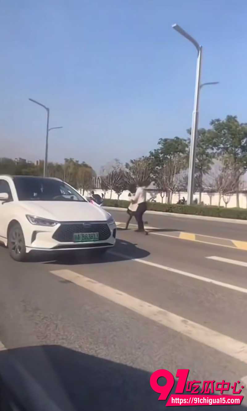 路怒男暴打小姐姐  1