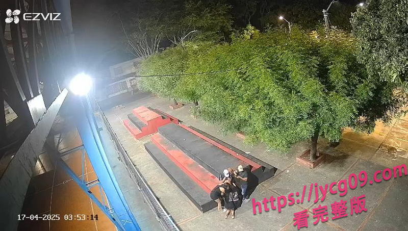 澳大利亚街头活春宫引爆全网！深夜多人互动尺度惊人 配图5