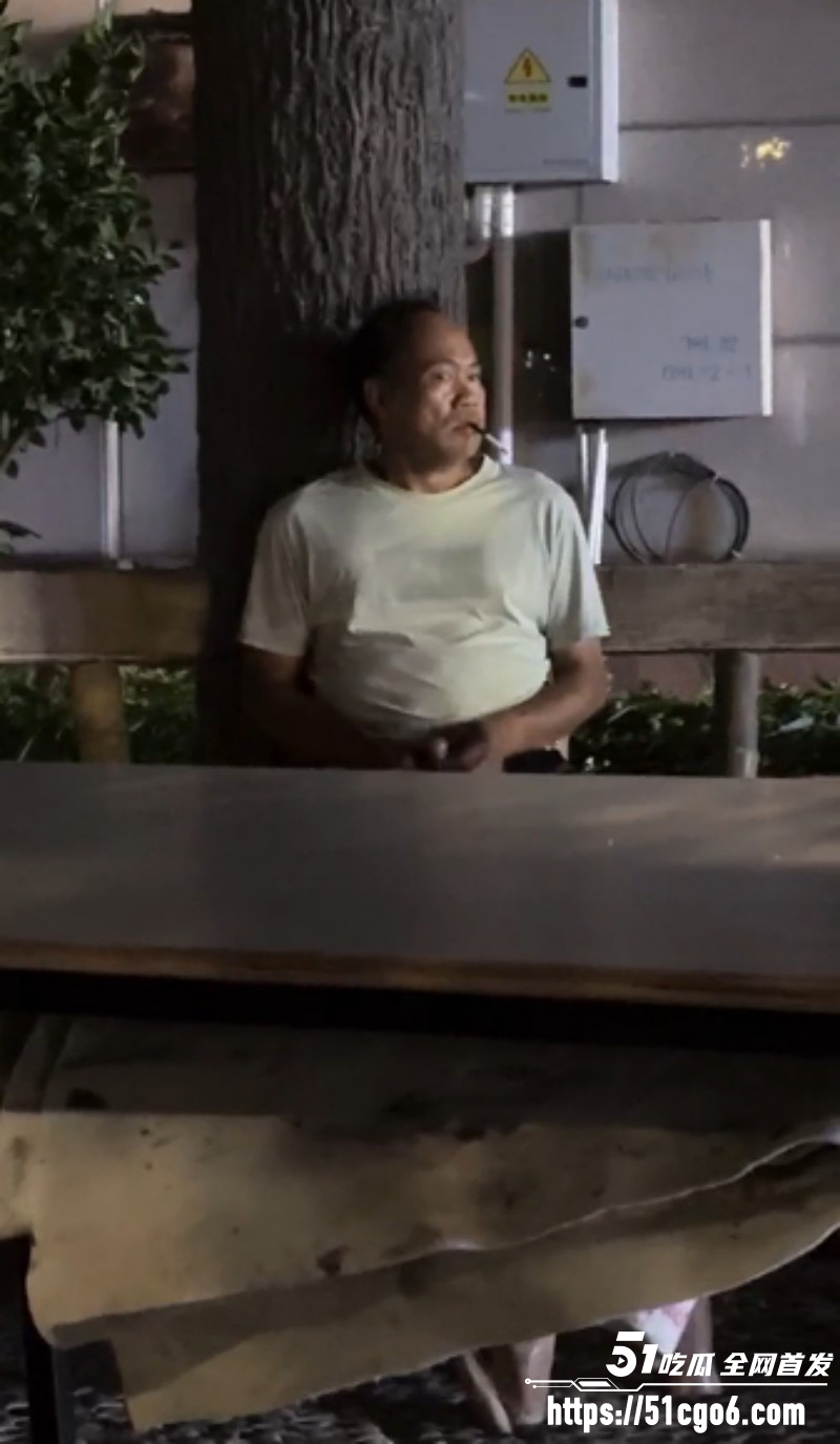 变态大叔光明正大打飞机04