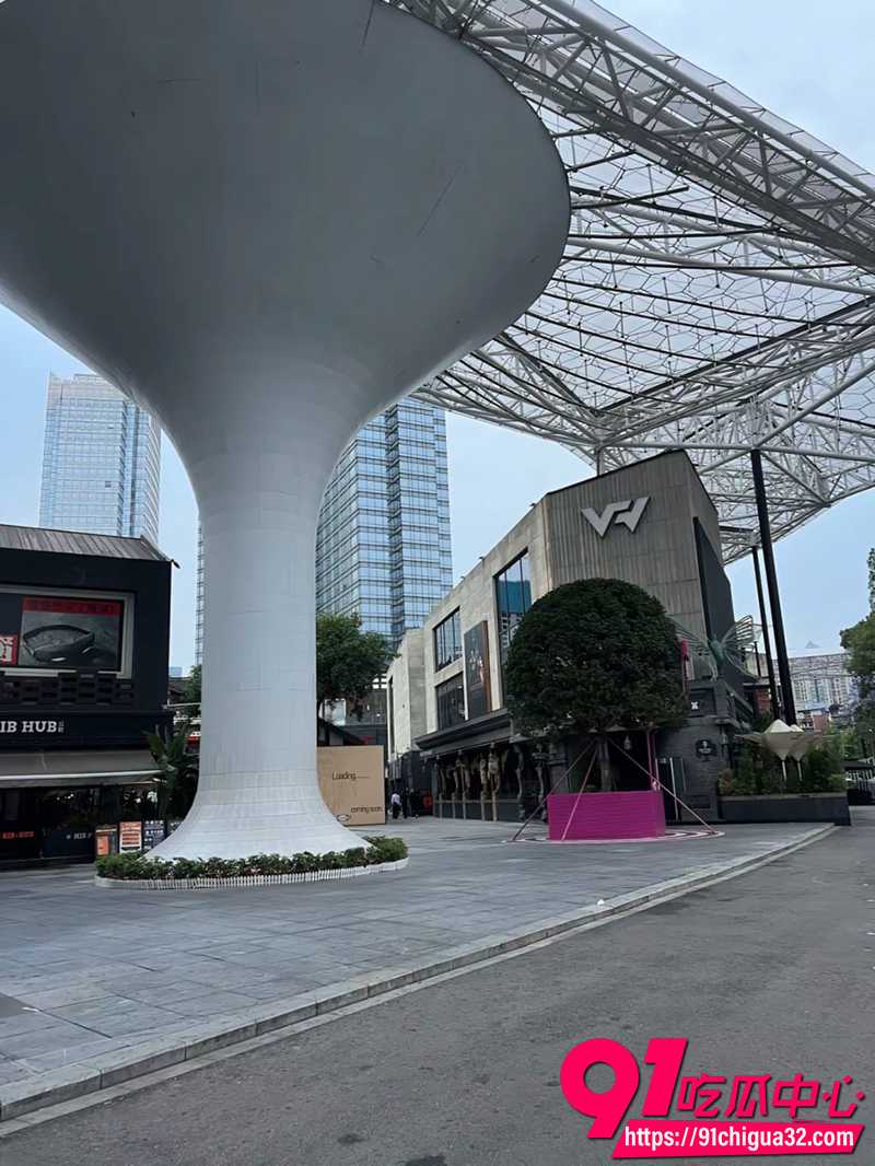 成都兰桂坊事件 6