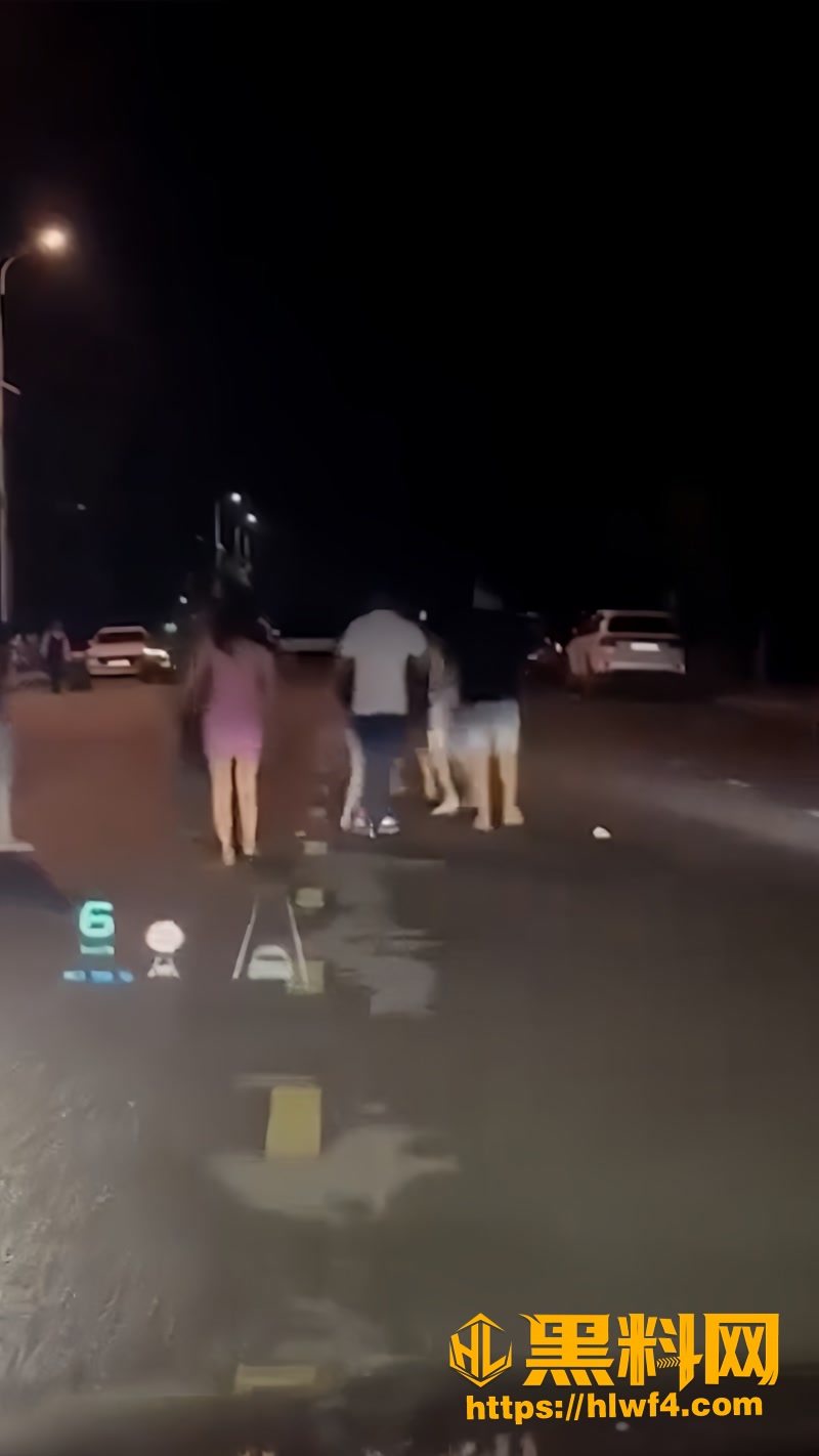 越南6名醉酒美女硬塞4座出租车被拒 当场群殴司机扯头发踹人场面失控