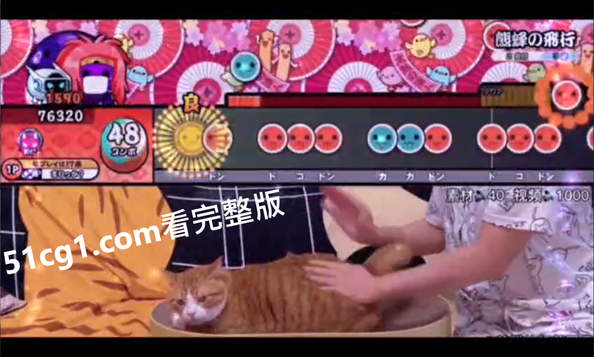 太鼓打猫