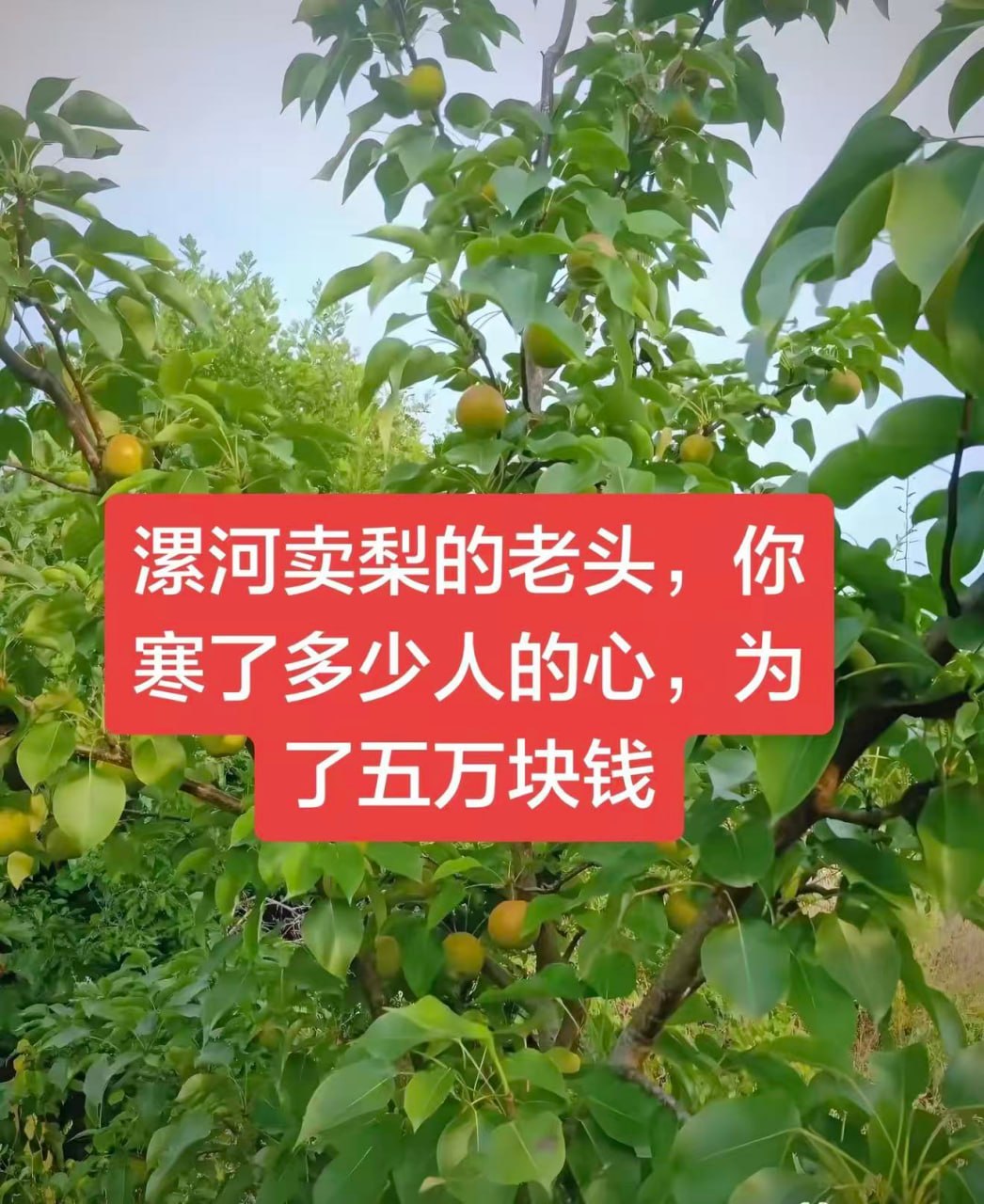 驻马店西平730命案告破07