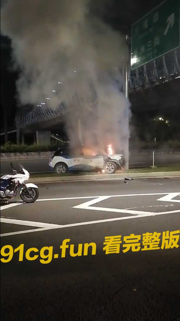 比亚迪 比亚迪