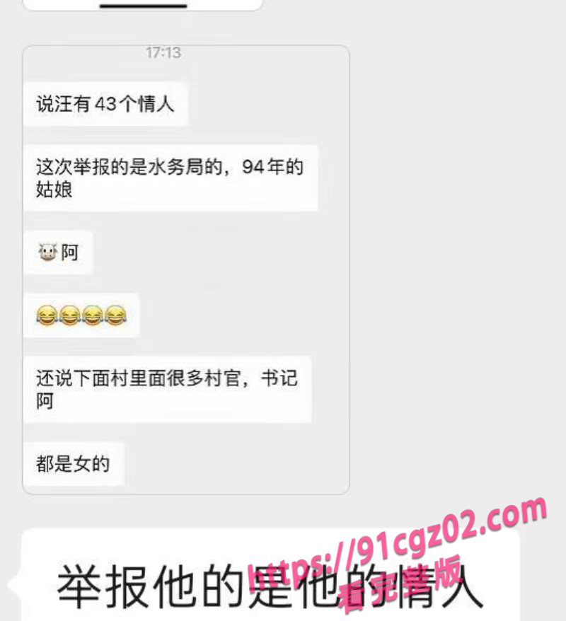 江苏太仓市委书记王有晴13素材水印版