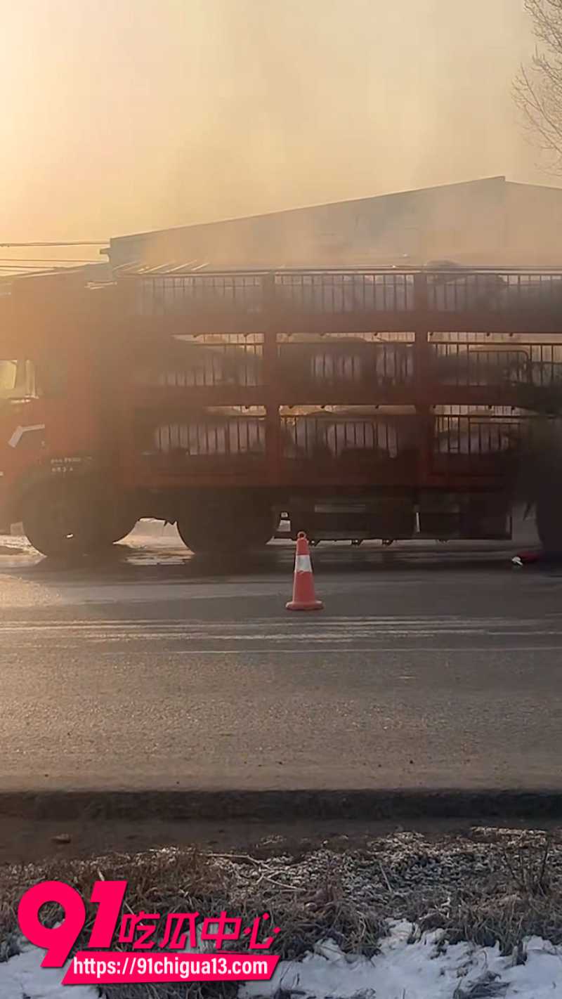 河南宝丰拉猪车高速起火数百头猪全被烤熟10 河南宝丰拉猪车高速起火数百头猪全被烤熟10