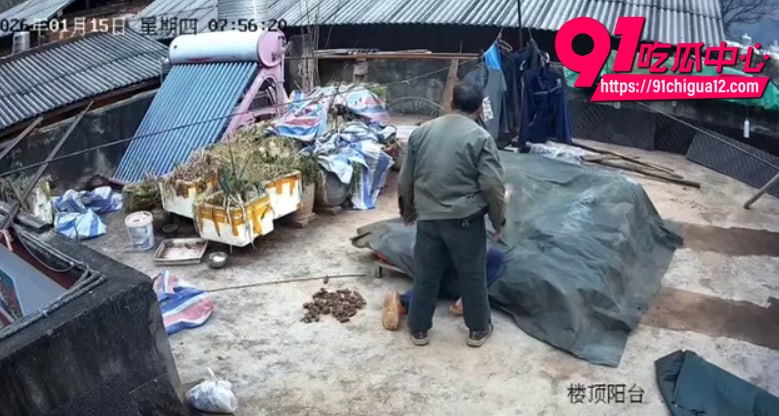 云南盈江家暴5