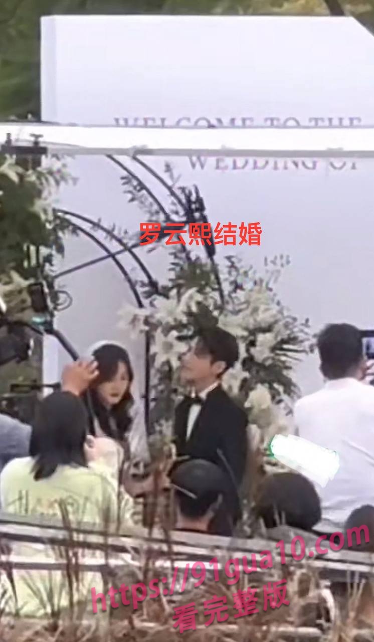白鹿19