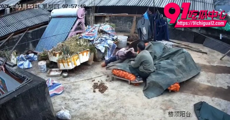 云南盈江家暴8