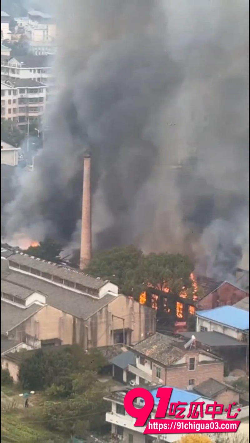 株洲炎陵县一工厂发生火灾3 株洲炎陵县一工厂发生火灾3