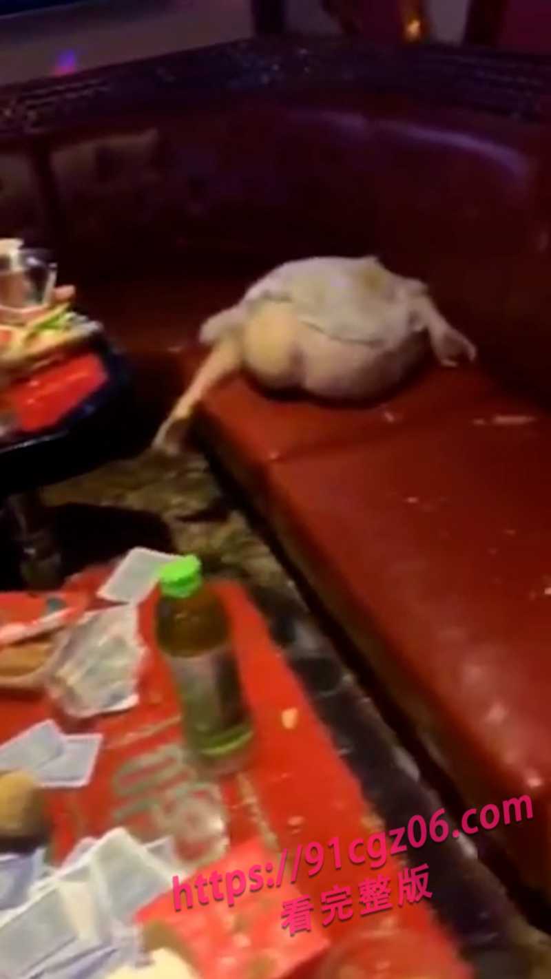 陪酒小妹网页素材2素材水印版