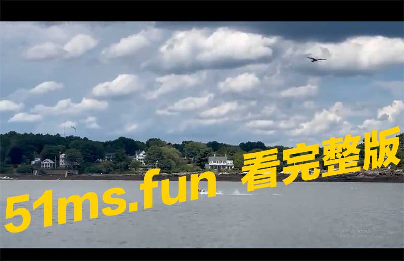 狗子会轻功水上飘?真的假的?