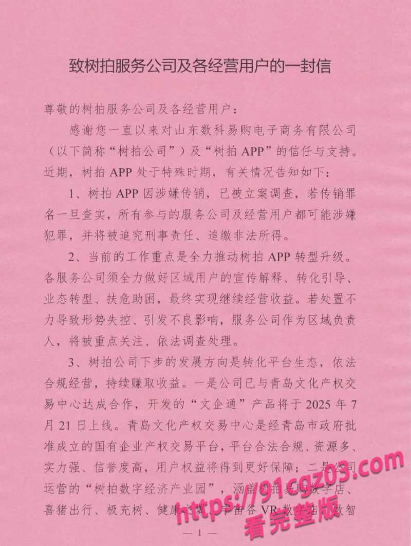 山东数科易购暴雷4素材水印版 山东数科易购暴雷4素材水印版