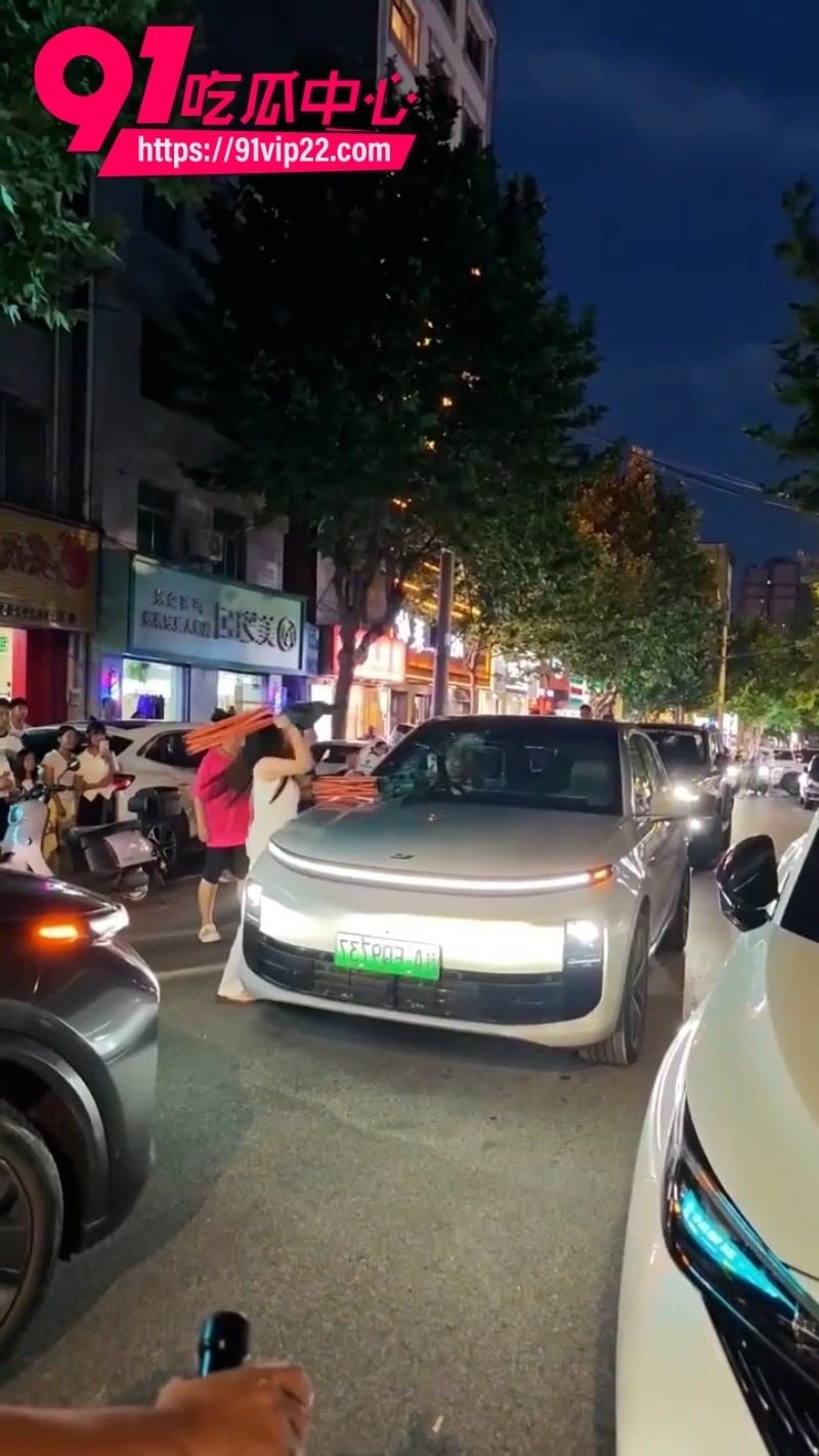 陕西洛南抓小三砸车事件3 陕西洛南抓小三砸车事件3