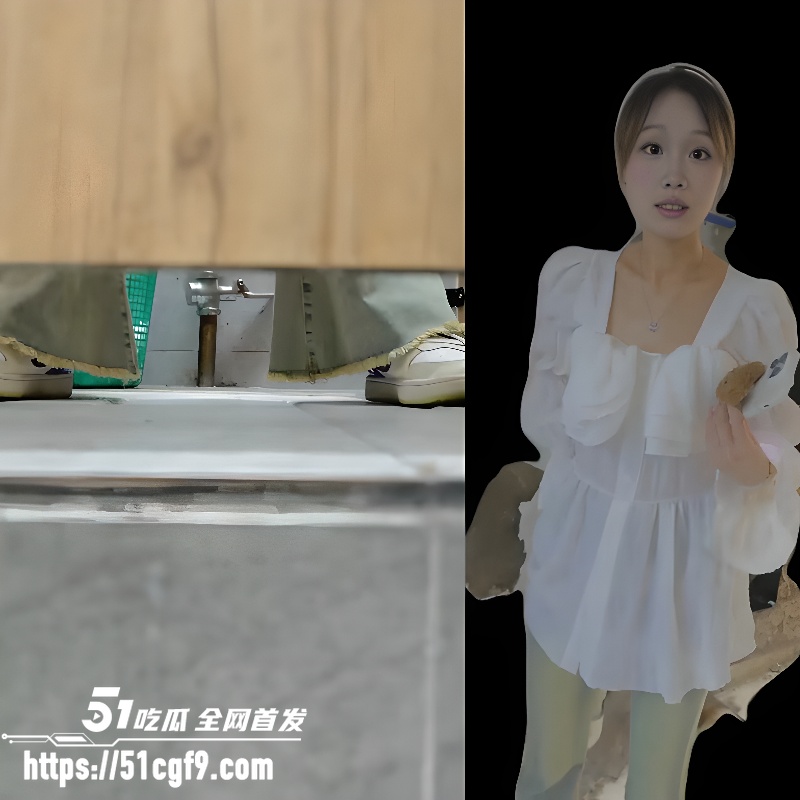 顶级厕拍新系列 1 顶级厕拍新系列 1