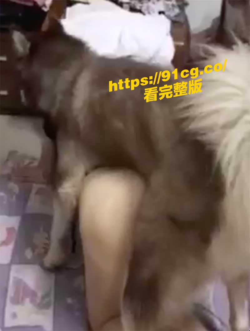 獸交5.jpg