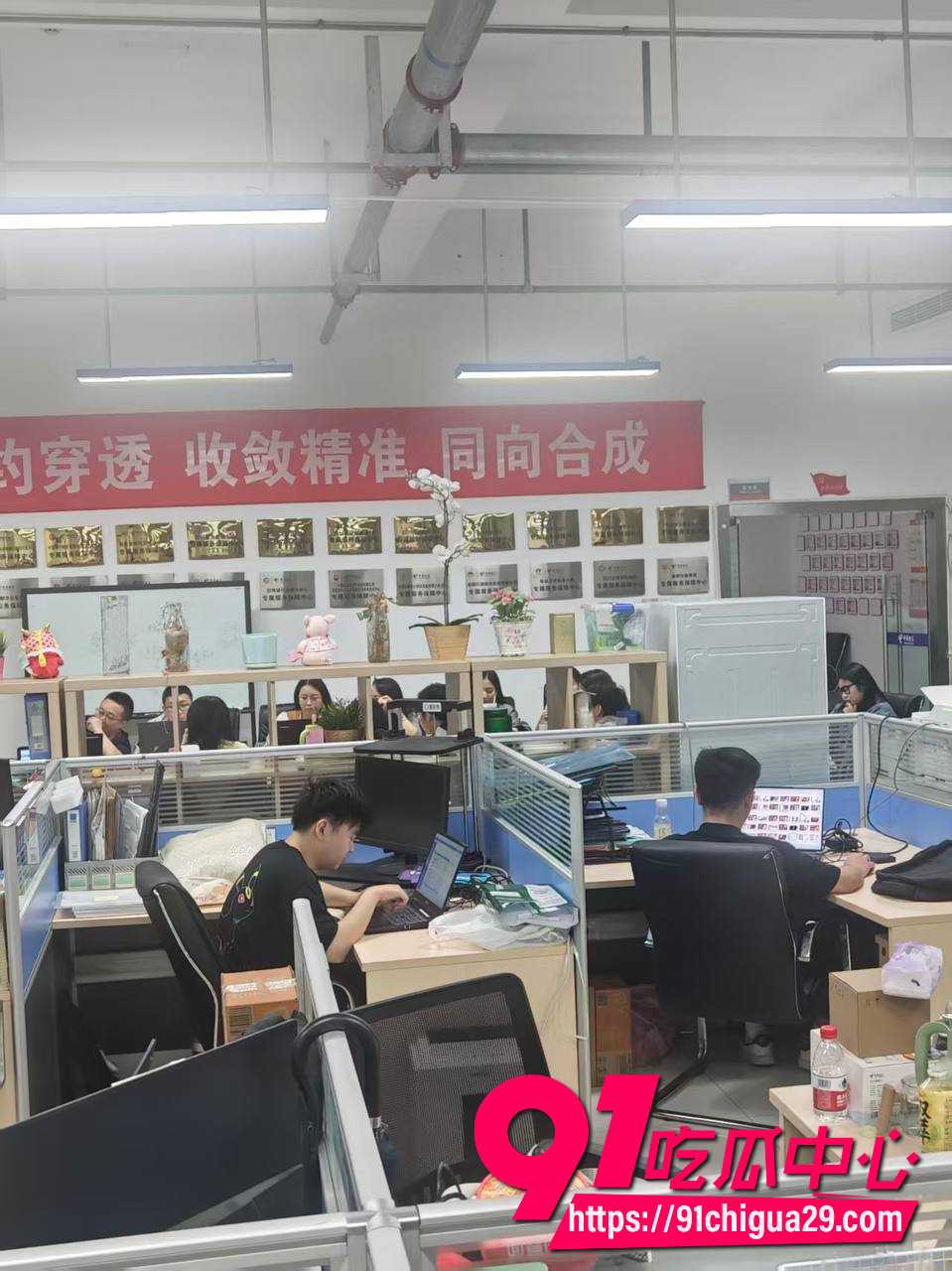 眼镜仔10