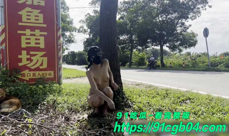 序列 2608.00262106