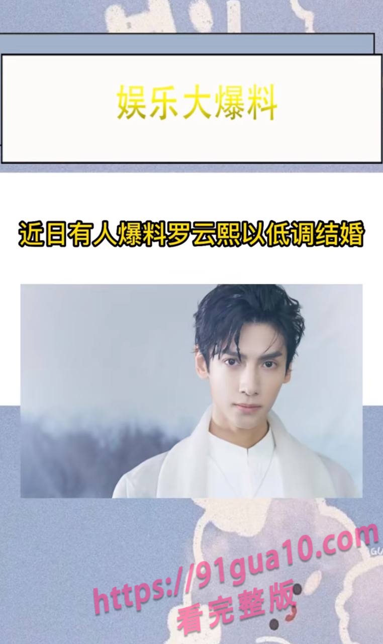 白鹿17
