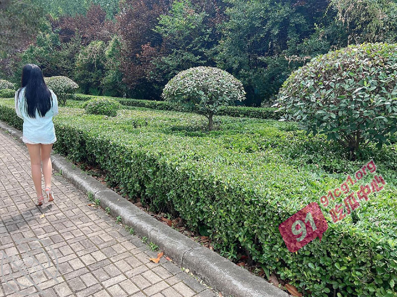 亲姐弟乱伦连续剧-姐姐让我陪她买菜 强迫让她穿开档丝袜出门 裤里丝绝了