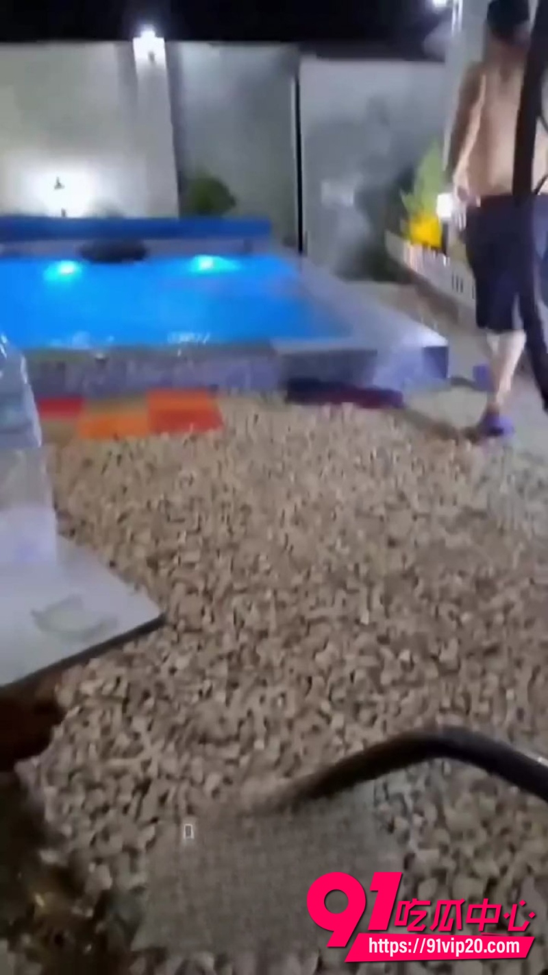 跳水6 跳水6