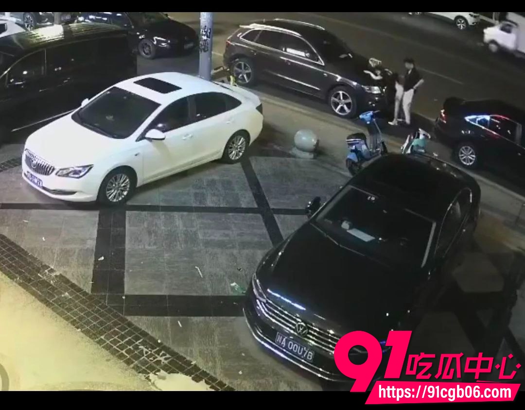 野鸳鸯精虫上脑路边车旁激情啪啪3