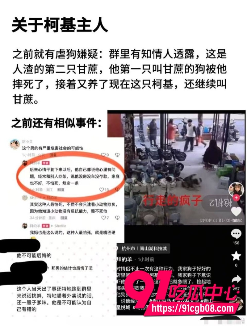 浙江 网友发视频：一男子当街用酒瓶和砖头疯狂打砸一只狗3