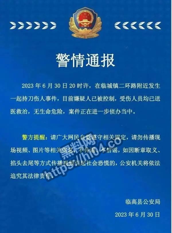 海南临高县街头捅人事件！连捅12人！被抓后竟不后悔！现场画面曝光！