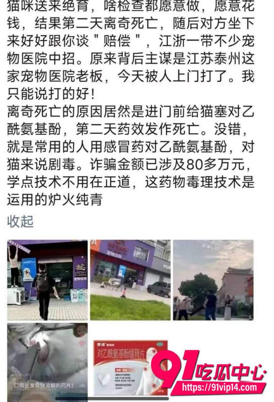 宠物碰瓷5 宠物碰瓷5