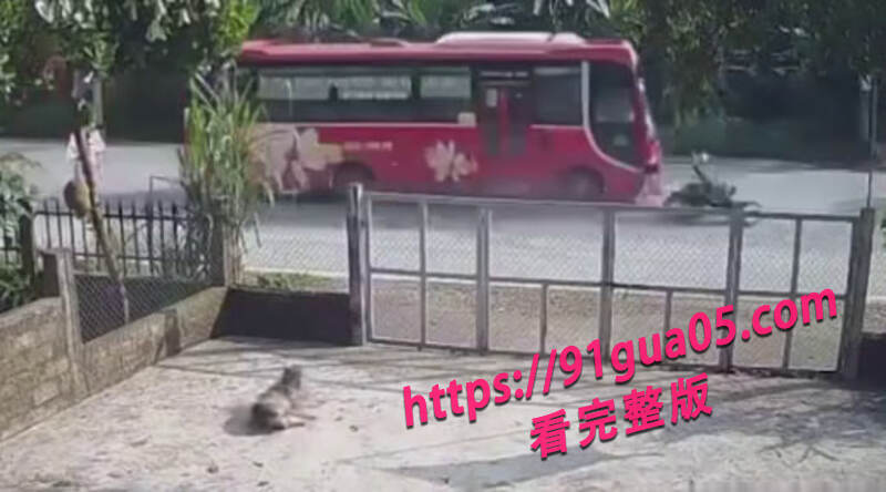 监控下的各种惊险画面05