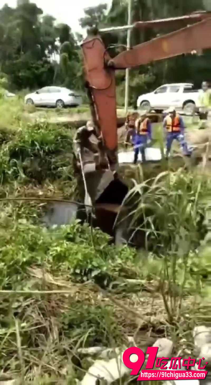 巨型鳄鱼吃人事件 1
