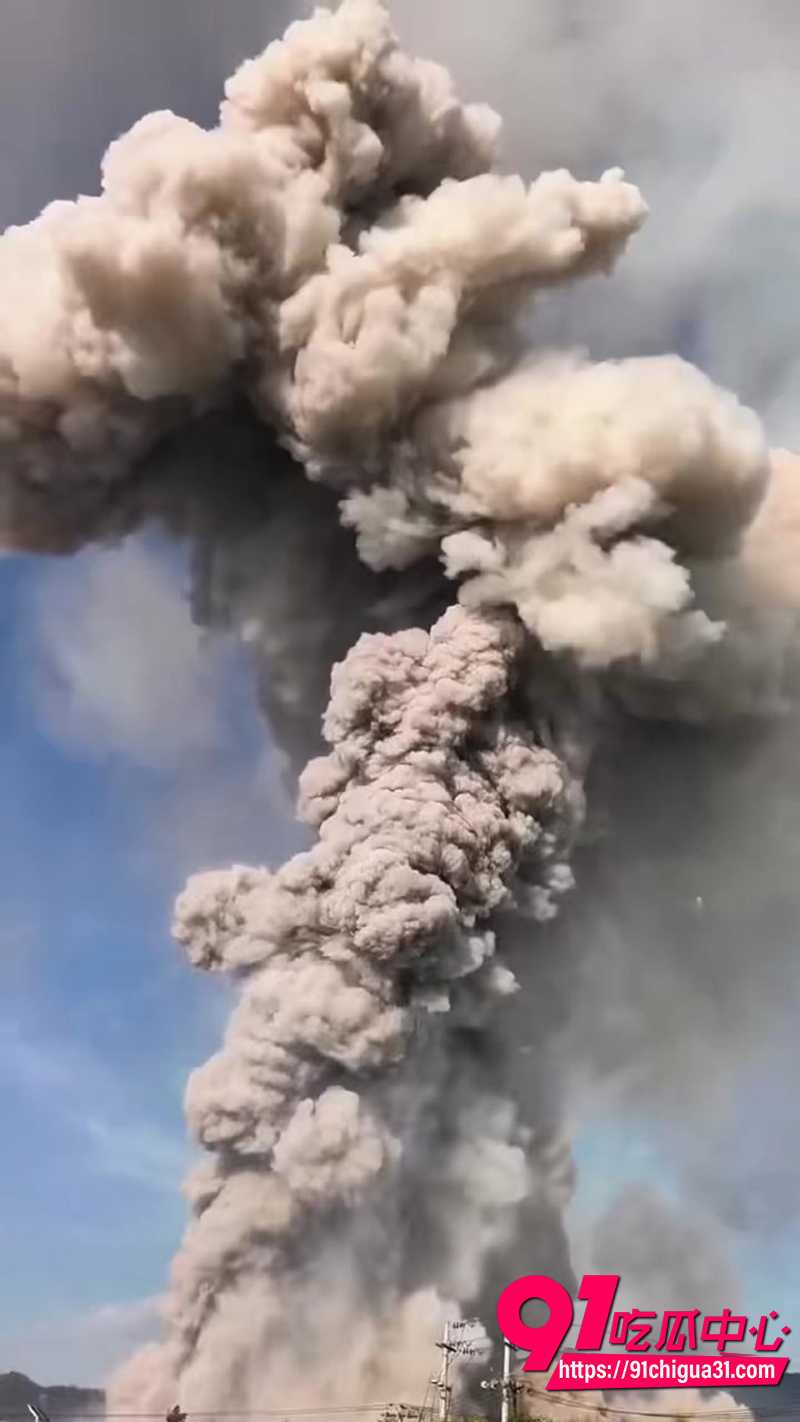 浏阳烟花厂爆炸 5