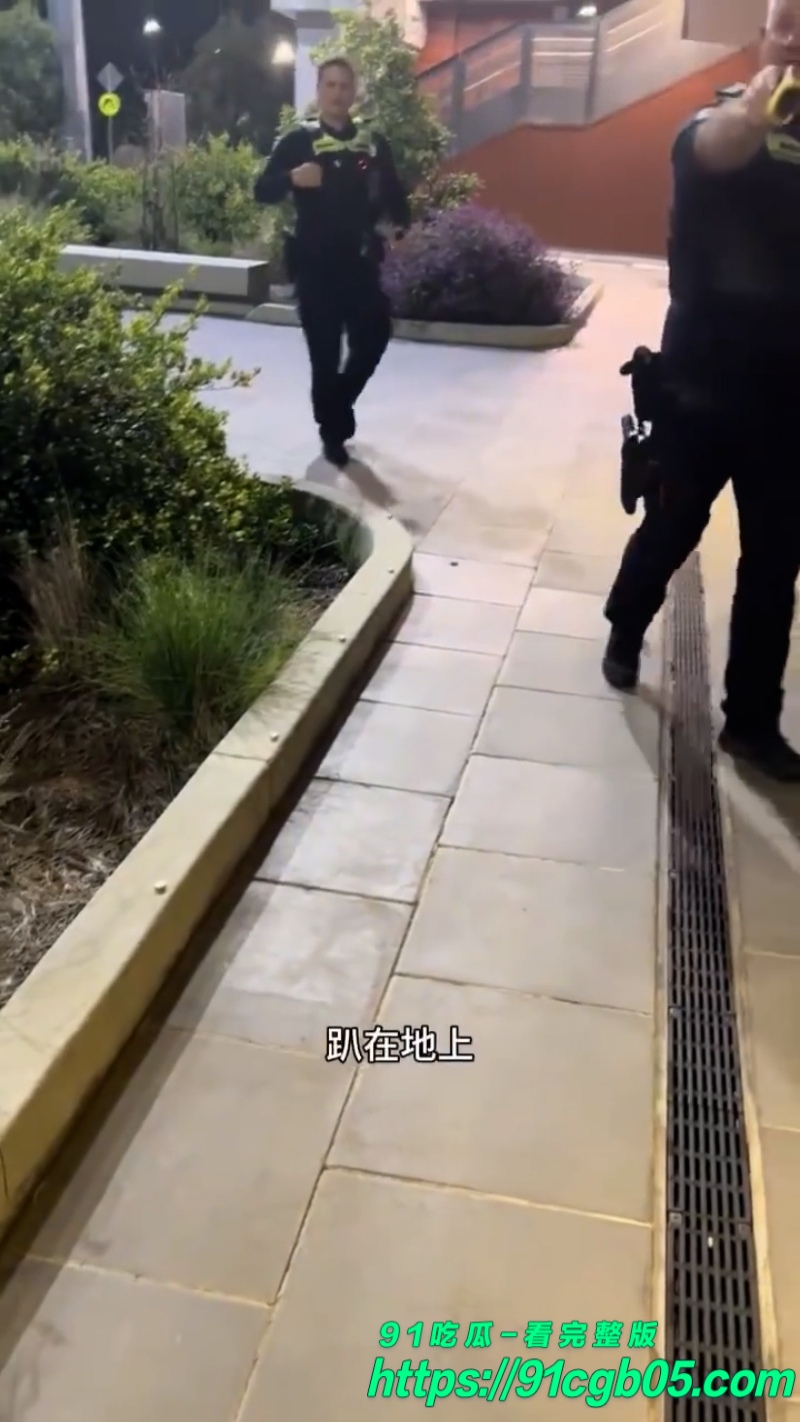 澳大利亚华裔留学生被警察暴揍网页素材2水印版