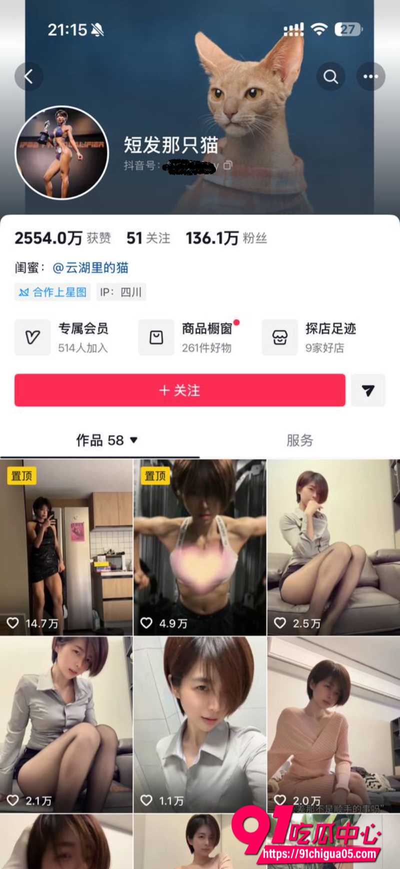 抖音少妇短发那只猫1