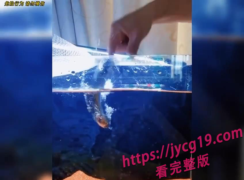 惹谁不好惹动物！挑衅反被爆打的爆笑翻车现场 配图2