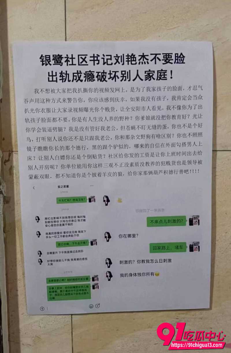 河南安阳银鹭社区书记刘艳杰1