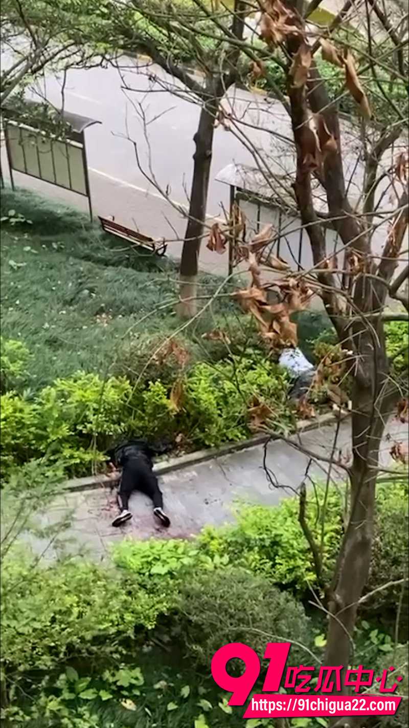 南宁翡翠园小区持刀伤人事件2 南宁翡翠园小区持刀伤人事件2