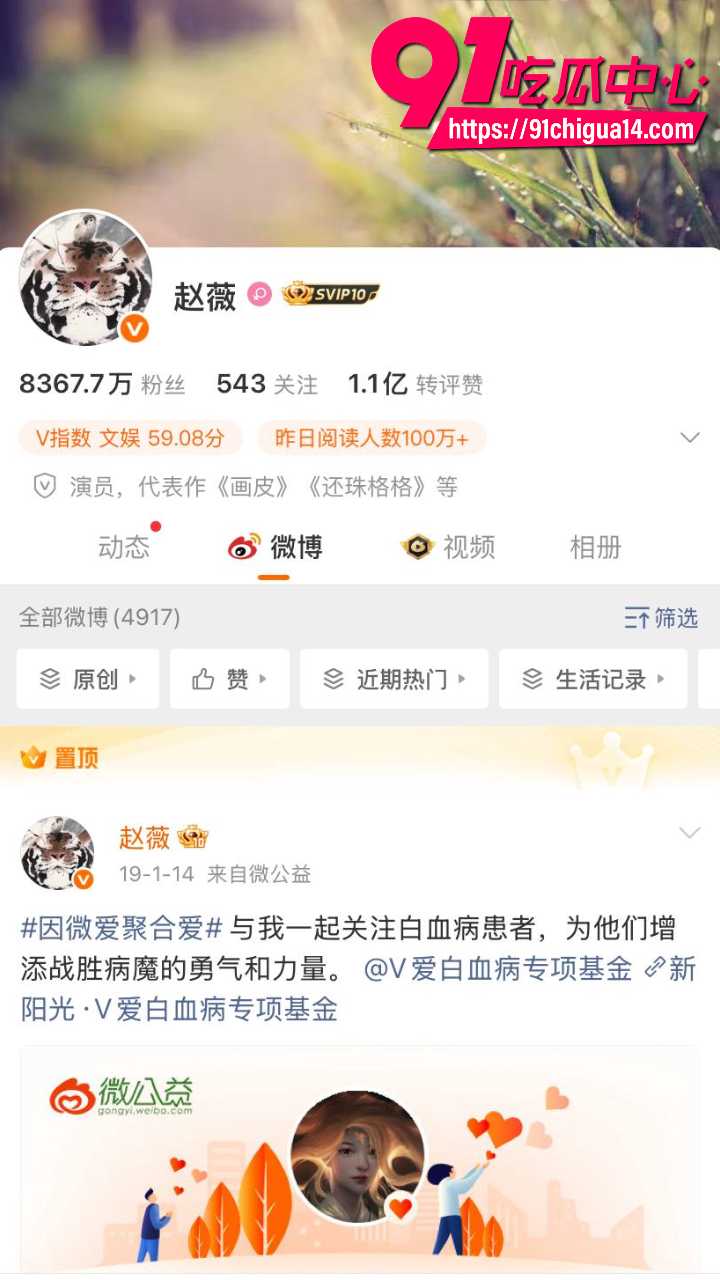 赵薇老公弟弟佘智江引渡回国12